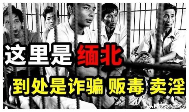 誰在騙中國人去緬北？