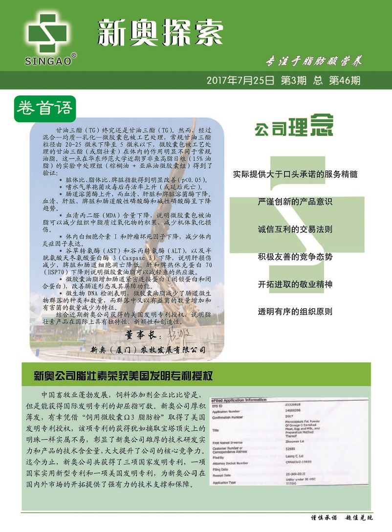 2025新奧精準資料免費大全078期+完整版80.406_詞語解釋落實