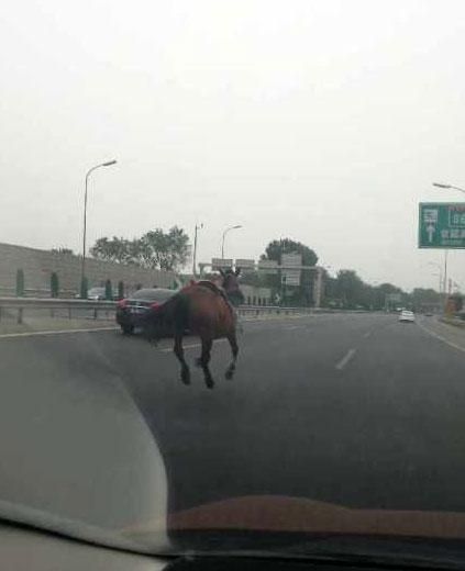 跑狗圖993994高清跑狗圖的安全性+XP30.792_科普問(wèn)答