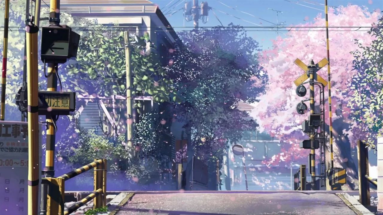 25049.0cm新奧彩